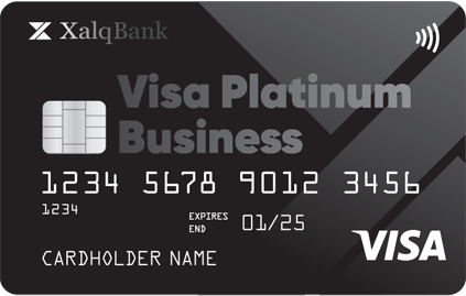 Visa Platinum Business